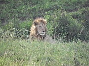 DSCN1482