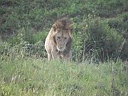 DSCN1483