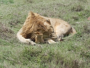 DSCN2024