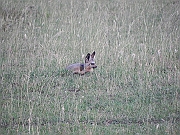DSCN1790