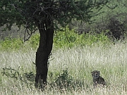 DSCN1577