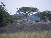 DSCN1802