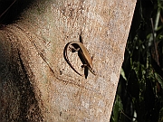 DSCN2705