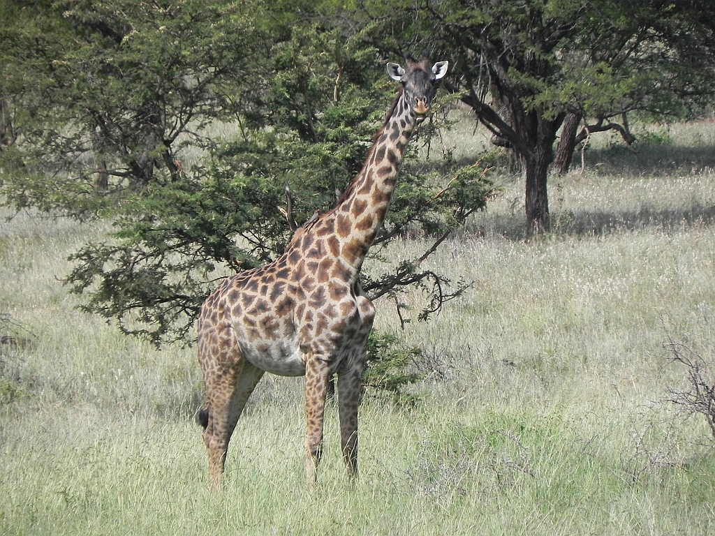 DSCN1515.JPG