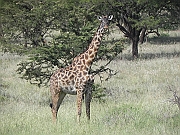 DSCN1515
