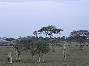 DSCN1803