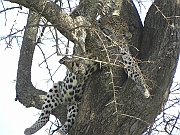 DSCN1626