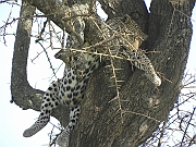 DSCN1629