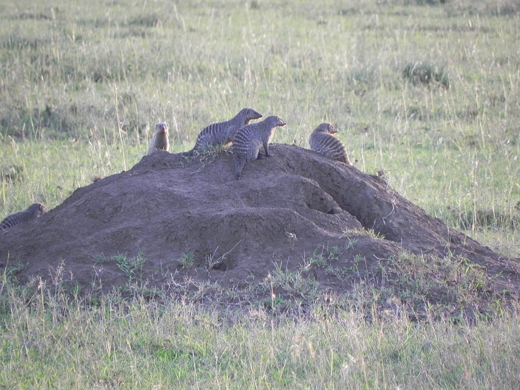 DSCN1796.JPG