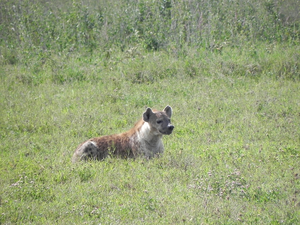 DSCN1738.JPG