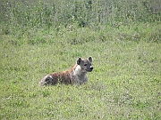 DSCN1738