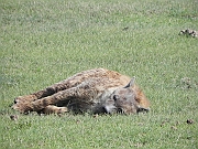DSCN2051