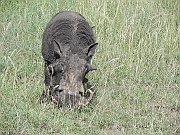 DSCN1633