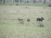 DSCN1728