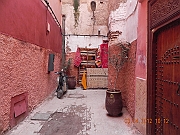 DSCN1373