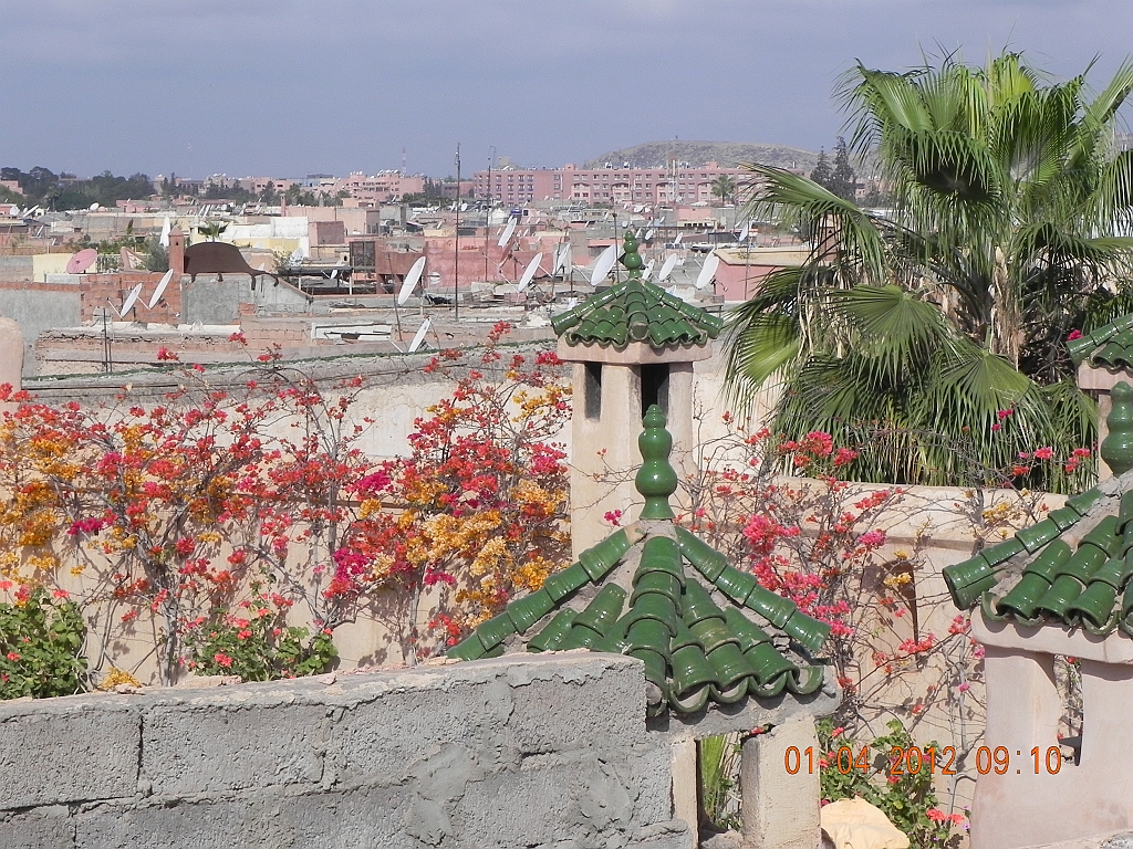 DSCN1188.JPG