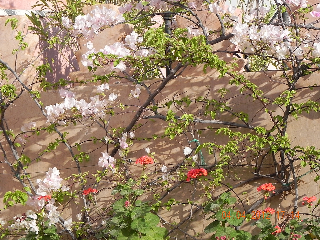 DSCN1550.JPG