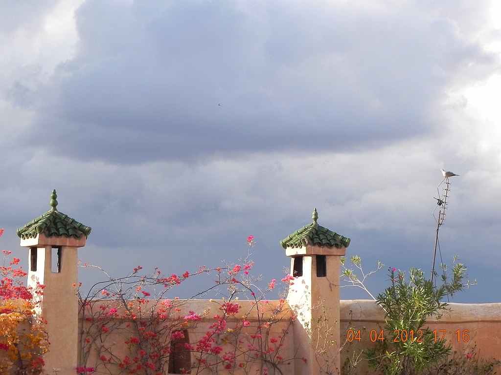 DSCN1553.JPG
