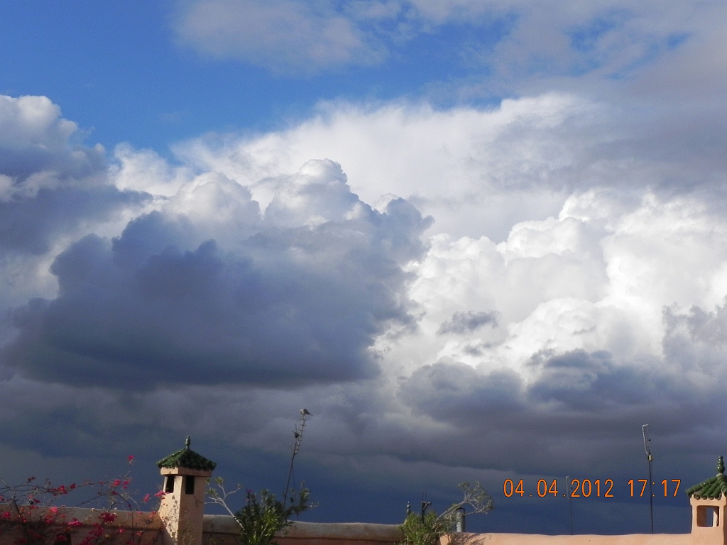 DSCN1556.JPG