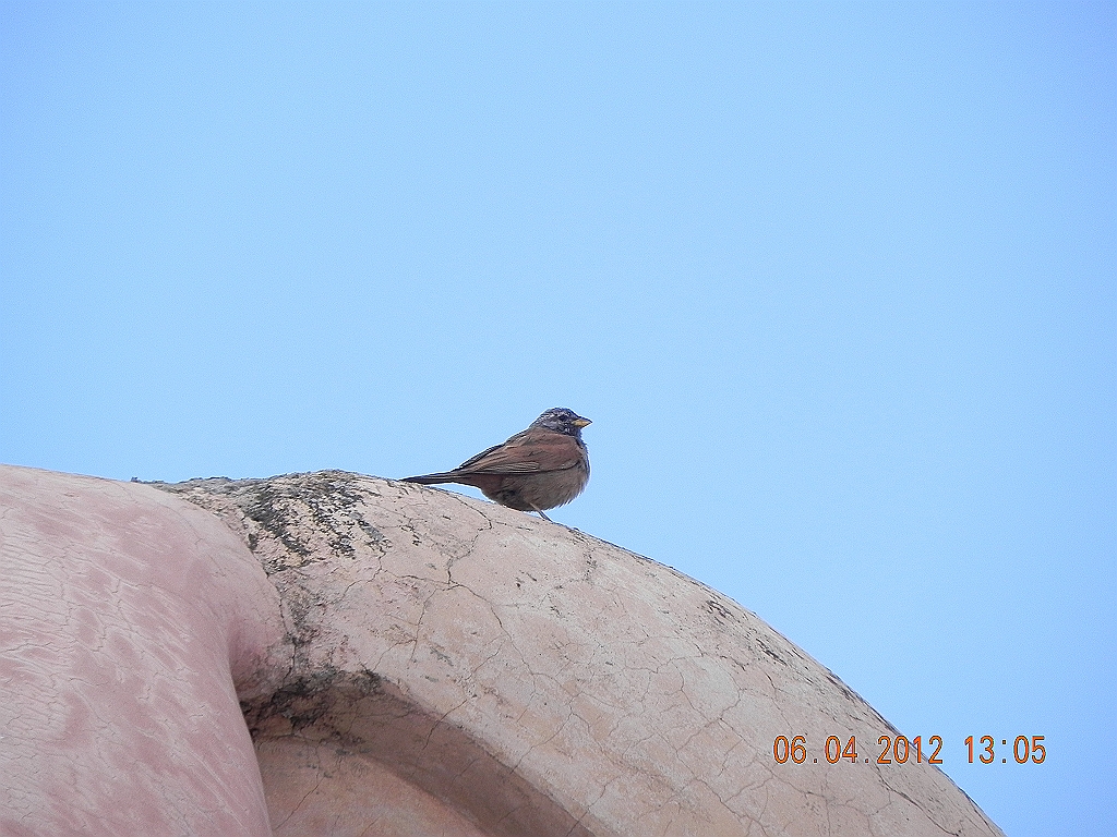 DSCN1694.JPG