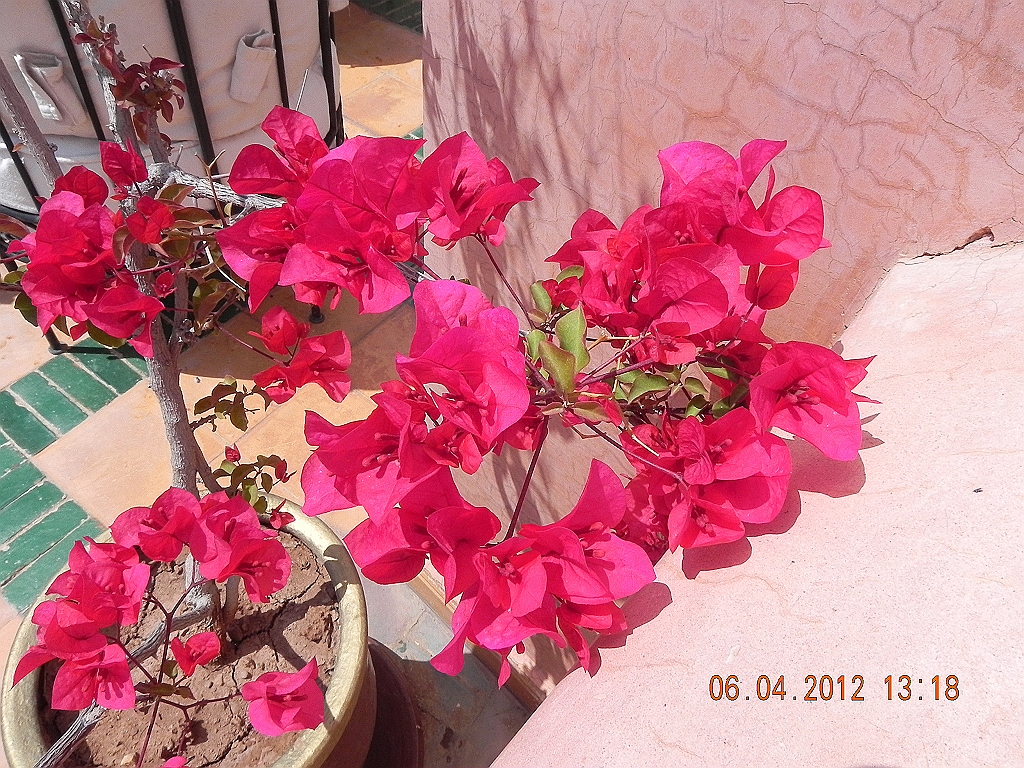 DSCN1713.JPG