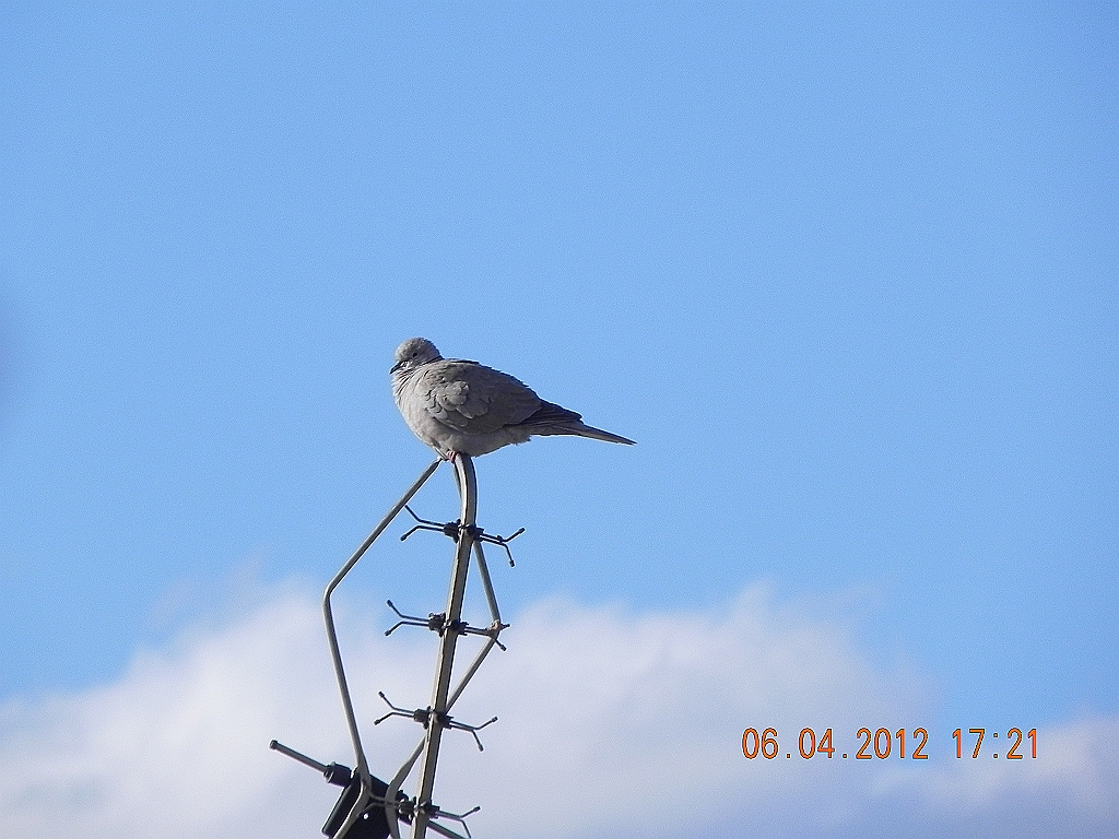 DSCN1738.JPG