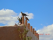 CIMG1409