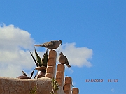 CIMG1410
