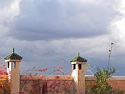 DSCN1553