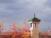 DSCN1557