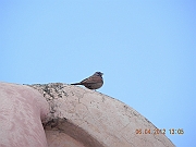 DSCN1694