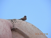 DSCN1695