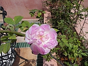 DSCN1701