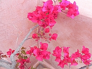 DSCN1710