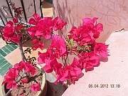 DSCN1713