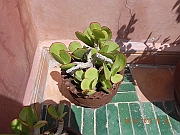 DSCN1715