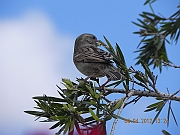 DSCN1717