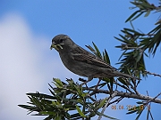 DSCN1718