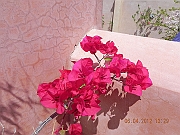 DSCN1720