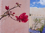 DSCN1721