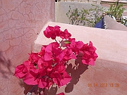 DSCN1722
