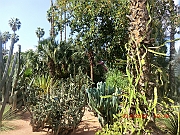 CIMG0961
