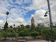 CIMG1193