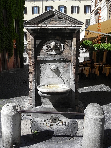DSCN0514.JPG