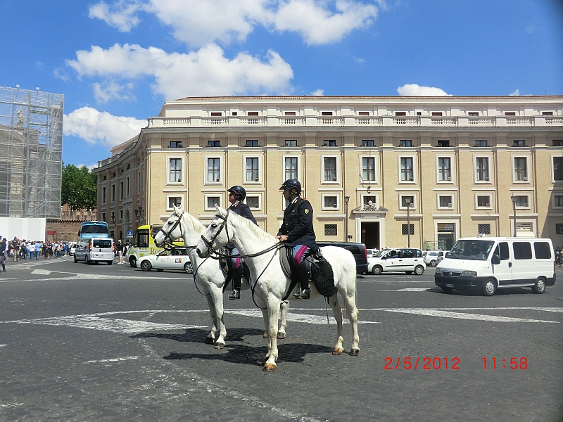 CIMG1695.JPG