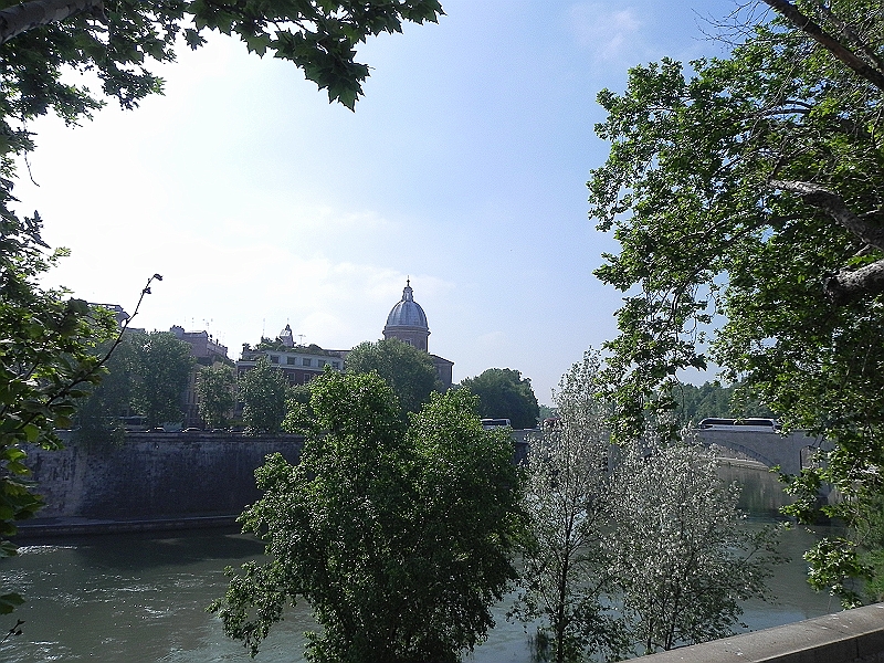 DSCN0006.JPG