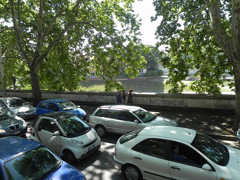 DSCN0077.JPG