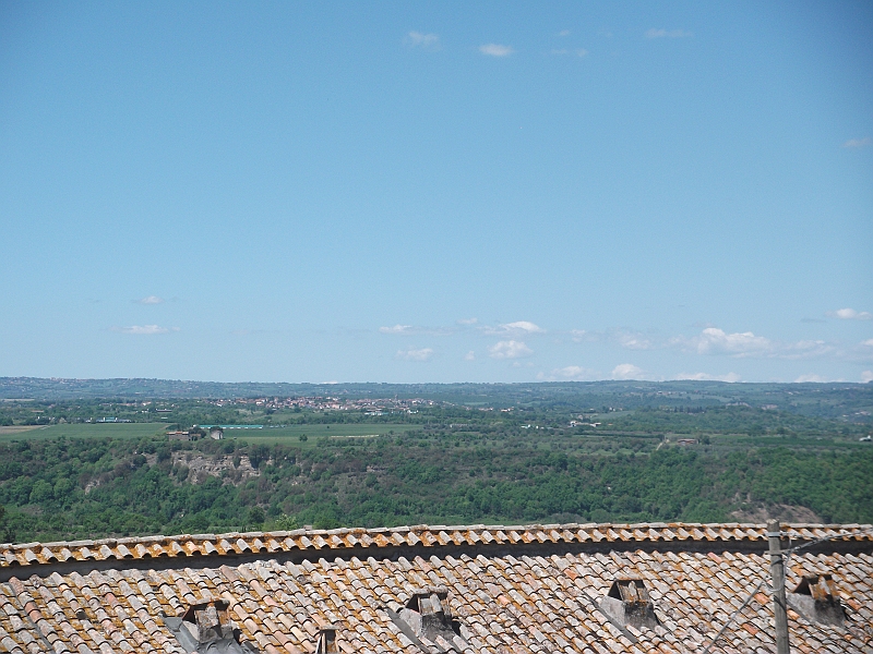 DSCF0794.JPG