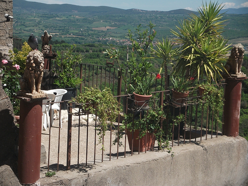 DSCF0800.JPG