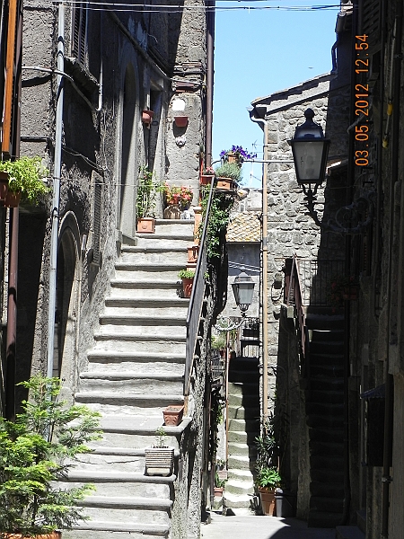 DSCN0337.JPG